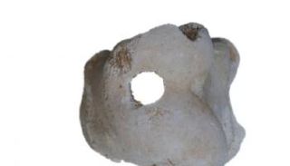 الصفارة التي استخدمتها الشرطة المكلفة بحماية مقابر الملوك بمصر القديمة