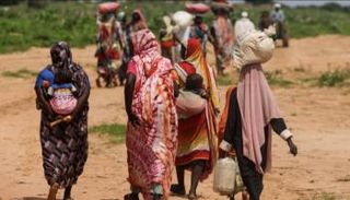 المجتمع الأفريقي يسعى لتقديم رؤية موحدة لـCOP30