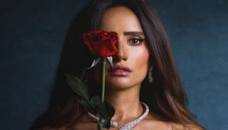 تفاصيل مسلسل ورد وشوكولاتة