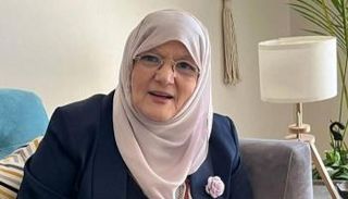 شمس البارودي