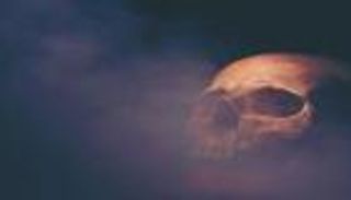 جمجمة عمرها مليون سنة تكشف تعقيدا جديدا في مسار التطور البشري