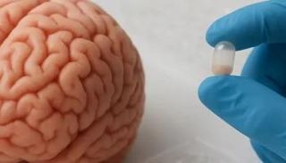 كبسولات مجهرية قد تفتح آفاقا لعلاج التهاب الدماغ