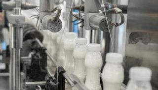 الحليب المبستر الملوث بإنفلونزا الطيور لا يشكل خطراً على الصحة