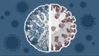 إنفلونزا الخريف أم كورونا.. أبرز الفروق بين الفيروسين وطرق الوقاية