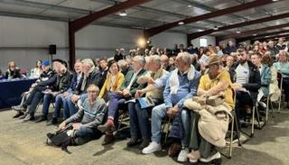 مزاد فيرنون للسيارات الكلاسيكية