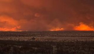 تفاصيل حريق محمية إيتوشا بناميبيا