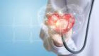 يوم القلب العالمي 2025.. حقائق وأرقام صادمة