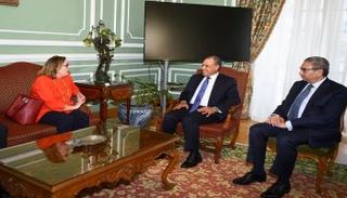 وزير الخارجية المصري يستقبل مدير القوة متعددة الجنسيات في سيناء