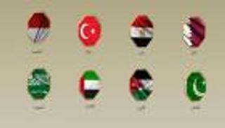 8 دول عربية وإسلامية تعلن دعم مبادرة ترامب لوقف حرب غزة