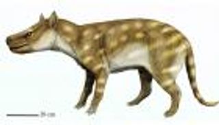 باحث بيئي: المرونة الغذائية تحد من الانقراض في النظم سريعة التغير