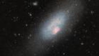 في وداع 2025.. الدب الأكبر يضيء السماء بنجومه العملاقة