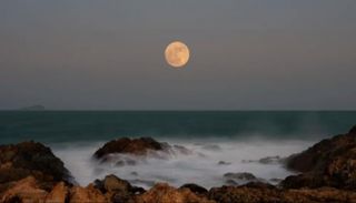  13 بدرا يزين سماء 2026