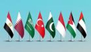 الإمارات و7 دول عربية وإسلامية تندد بتدهور الوضع الإنساني في غزة