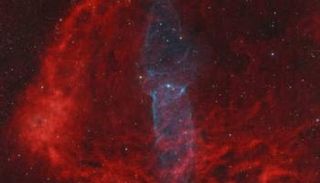 سديم الحبار كما تم تصويره 