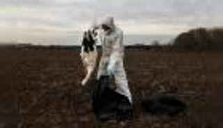 &laquo;شديدة العدوى&raquo;.. الهند تخطر بتسجيل بؤر لإنفلونزا الطيور