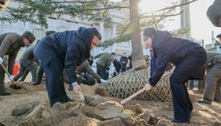 كيم وابنته يزرعون شجرة