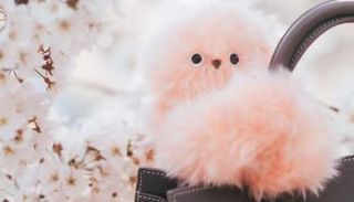 «ميرومي» الياباني 