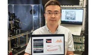 العلماء رصدوا حركة دقيقة للغاية في خلايا الرؤية الليلية للعين عند استشعار الضوء