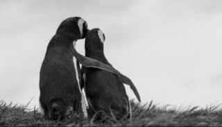 الصورة التي نشرها رئيس كوريا الجنوبية