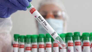 تفشي الإنفلونزا في فرنسا