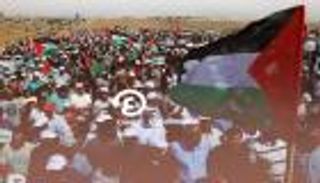 صوت إماراتي في مجلس سلام غزة التنفيذي.. محطة دعم جديدة لفلسطين