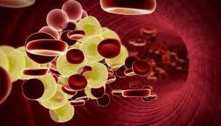 علاج فموي جديد قادر على خفض مستويات الدهون الثلاثية والكوليسترول