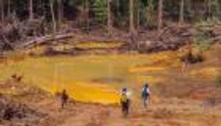 حرب منسية في غويانا.. فرنسا تواجه عصابات الذهب وعينها على الصين