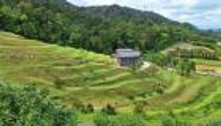 محاولة لم الشمل تنتهي بالقبض على زوجين مطلقين في فندق بتهمة &laquo;الخلوة&raquo;