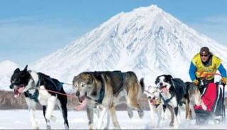 جزيرة كامتشاتكا