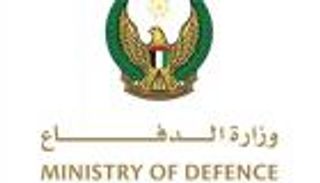 الإمارات تنفي ادعاءات وجود سجون سرية وأسلحة بمطار الريان اليمني