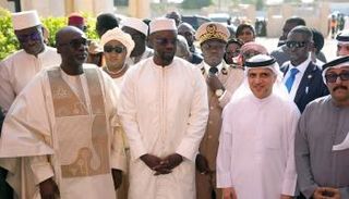 مؤسسة خليفة بن زايد آل نهيان للأعمال الإنسانية