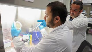 جامعة نيويورك أبوظبي