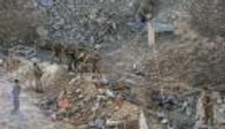 إسرائيل تقتل مسؤول المدفعية في حزب الله.. من هو؟