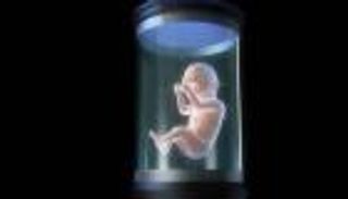 الرحم الاصطناعي.. إنقاذ الأرواح أم صناعة &laquo;أطفال حسب الطلب&raquo;؟ 