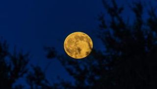 موعد صيام النصف من شعبان 2026