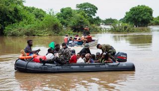 ظهور التماسيح داخل المنازل في موزمبيق