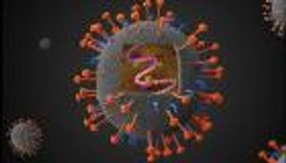 فيروس نيباه يثير ذعرا عالميا.. ورسالة طمأنة من منظمة الصحة