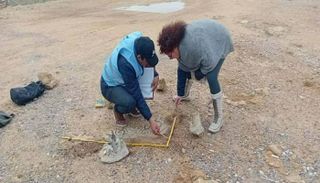 اكتشاف فسيفساء في الموقع الأثري "مسيوا"