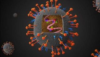 فيروس نيباه