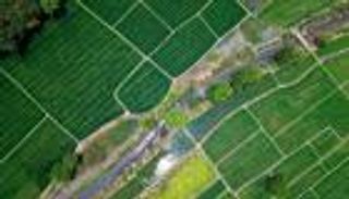 دعم البنية التحتية الخضراء.. خبير بيئي مصري يكشف خيارات ذكية