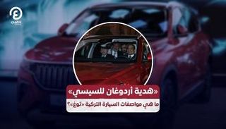 الرئيس المصري عبدالفتاح السيسي ونظيره التركي أثناء قيادة السيارة «توغ»