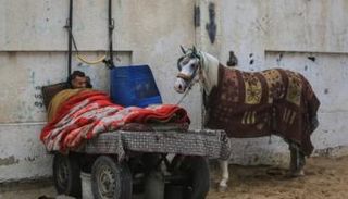 نازح فلسطيني في خان يونس