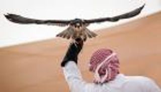 الصقارة.. تجربة معانقة السماء في ألعاب الماسترز &laquo;أبوظبي 2026&raquo;