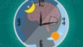 ضبط الساعة البيولوجية قبل رمضان.. خط الدفاع الأول ضد الإرهاق (خاص)