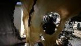 ديموغرافيا الضفة وغزة.. تحذير أممي من &laquo;مخططات إسرائيل&raquo;