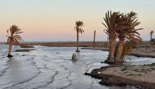 زحف مياه البحر نحو اليابسة في قرقنة
