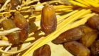تونس تجني نصف مليار دينار من صادرات التمور في 4 أشهر 