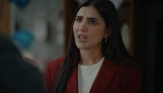 مسلسل الست موناليزا الحلقة 15 والأخيرة