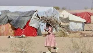 طفلة تحمل الحطب قرب مخيم نزوح باليمن