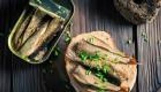 السردين المعلب.. غذاء بسيط يدعم صحة الدماغ والوظائف العصبية